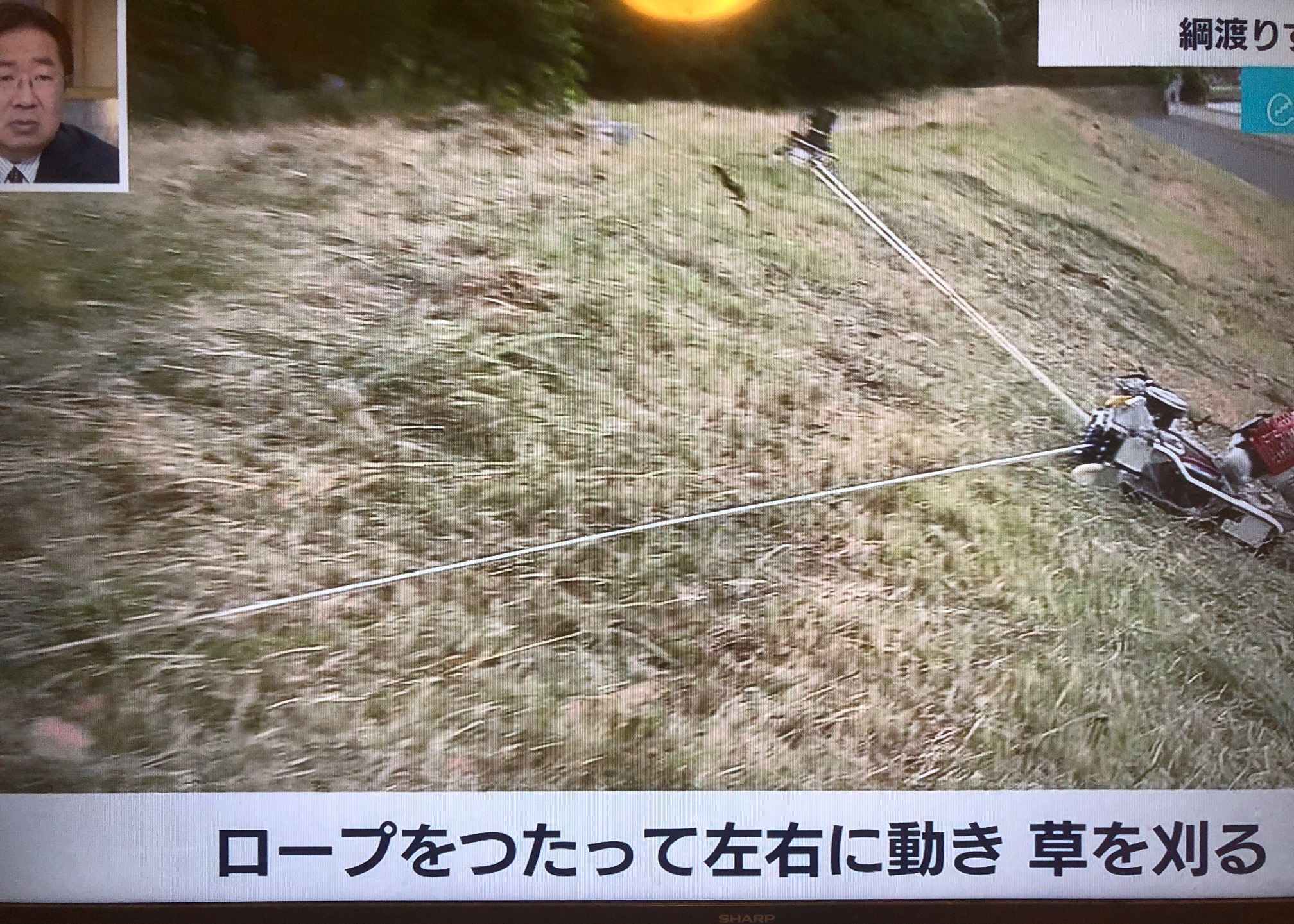 テレビ東京ワールドビジネスサテライトのトレたまコーナーで斜刈機が紹介されました。04